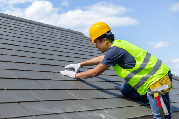 Best Gutter Installation and Roofing  in Alanes Ridge, CA